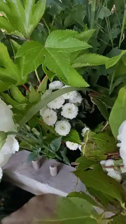 彌彦神社 (伊夜日子神社)(北海道)