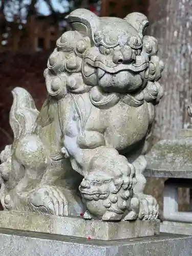 須山浅間神社の狛犬