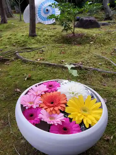 勝林寺(京都府)