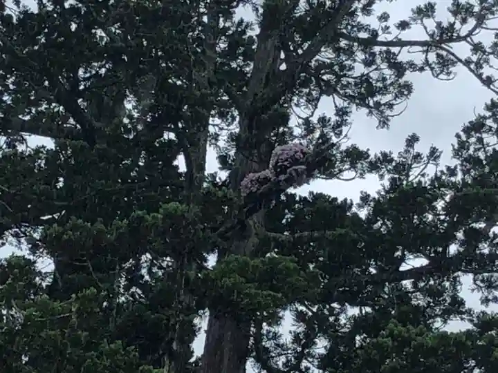 瑞巌寺(宮城県)