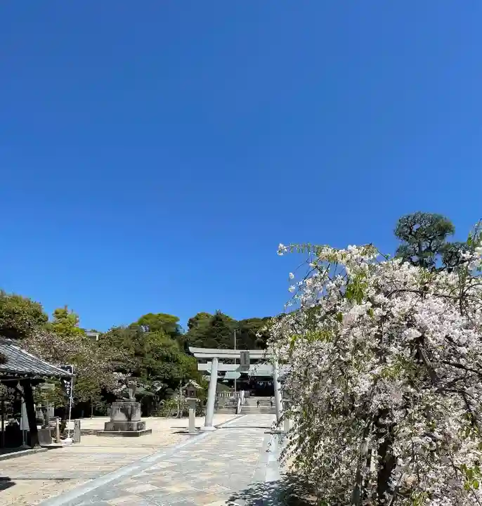 鶴羽根神社(広島県)