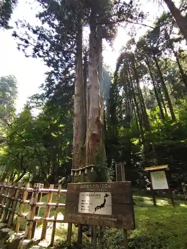 御岩神社の自然