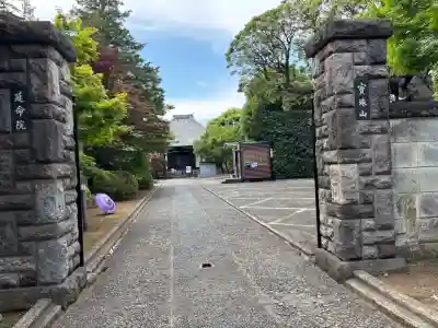 延命院の{uncategorized: "未分類", other: "その他", undefined: "問題あり", building: "その他建物", grave: "お墓", sacred_gate: "鳥居", guardian: "狛犬", statue: "像", buddha: "仏像", history: "歴史", nature: "自然", garden: "庭園", animal: "動物", pagoda: "塔", temizu: "手水舎", mountain_gate: "山門・神門", sanctuary: "本殿・本堂", subordinate: "末社・摂社", art: "芸術", scenery: "景色", jizo: "地蔵", ema: "絵馬", goshuin: "御朱印", omikuji: "おみくじ", items: "授与品その他", amulet: "お守り", goshuincho: "御朱印帳", eats: "食事", festival: "お祭り", votive_dance: "神楽", shichigosan: "七五三参", wedding: "結婚式", experience: "体験その他", initially: "初詣", around: "周辺", anti_infection: "感染症対策"}