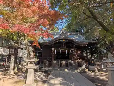 川口神社(埼玉県)