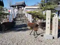 金剛寺の塔