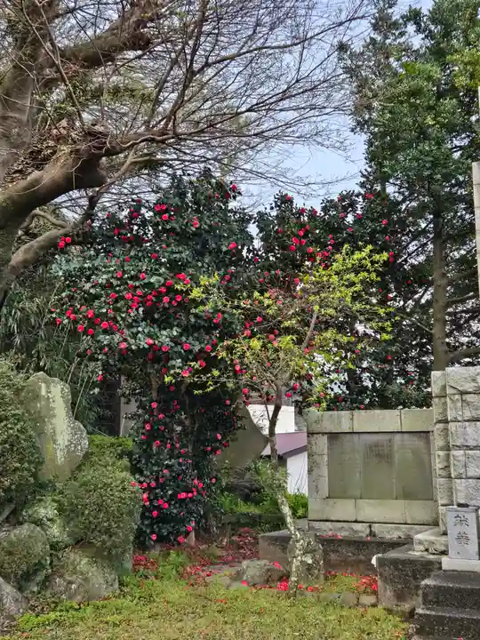 阿治古神社(静岡県)