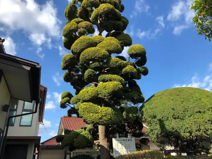 宝林寺(宮城県)