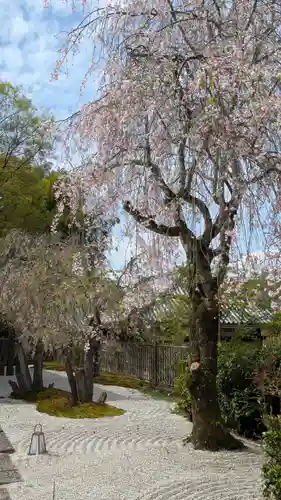 圓光寺(京都府)