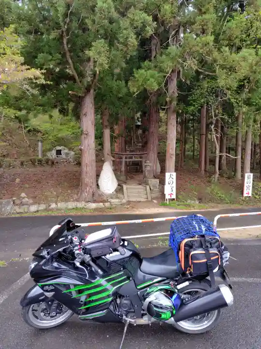 犬の宮猫の宮(山形県)