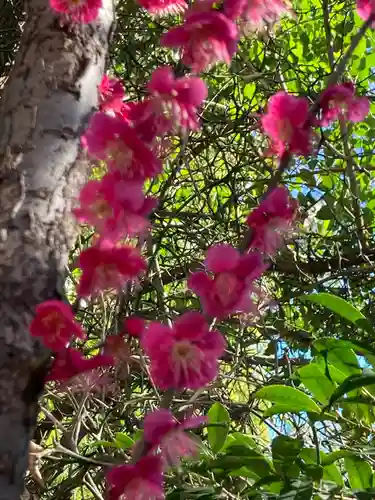 田無神社の自然