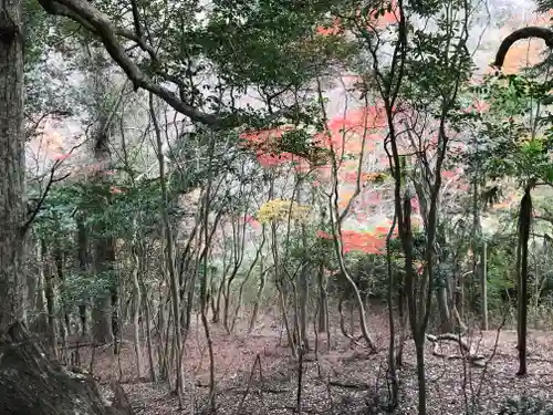 日吉神社の自然