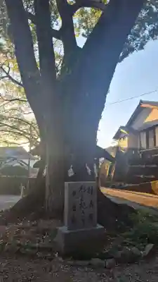 若一王子宮(高知県)