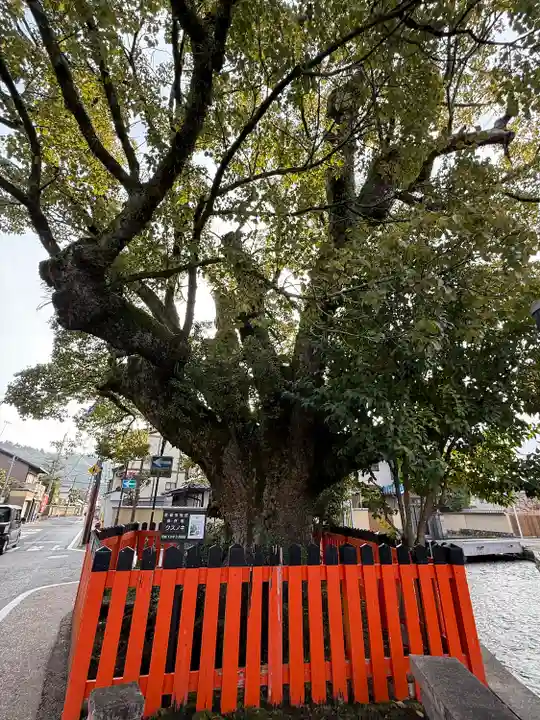 賀茂別雷神社(上賀茂神社)(京都府)