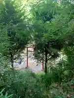 三峯神社(千葉県)