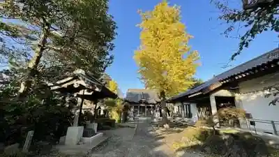 慶光山　観音寺の建物その他