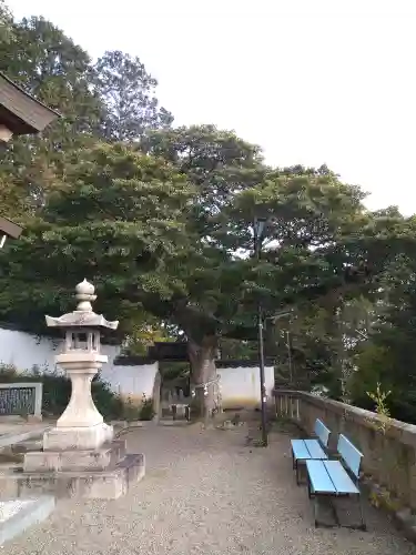 鶴崎神社の自然