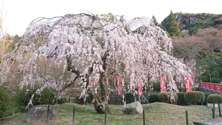 般若寺(山口県)