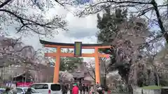 平野神社の鳥居