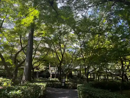 真正極楽寺（真如堂）の庭園