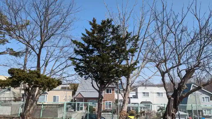 西の里神社の自然