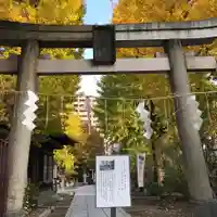 素盞雄神社の鳥居