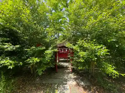 神炊館神社 ⁂奥州須賀川総鎮守⁂の{uncategorized: "未分類", other: "その他", undefined: "問題あり", building: "その他建物", grave: "お墓", sacred_gate: "鳥居", guardian: "狛犬", statue: "像", buddha: "仏像", history: "歴史", nature: "自然", garden: "庭園", animal: "動物", pagoda: "塔", temizu: "手水舎", mountain_gate: "山門・神門", sanctuary: "本殿・本堂", subordinate: "末社・摂社", art: "芸術", scenery: "景色", jizo: "地蔵", ema: "絵馬", goshuin: "御朱印", omikuji: "おみくじ", items: "授与品その他", amulet: "お守り", goshuincho: "御朱印帳", eats: "食事", festival: "お祭り", votive_dance: "神楽", shichigosan: "七五三参", wedding: "結婚式", experience: "体験その他", initially: "初詣", around: "周辺", anti_infection: "感染症対策"}