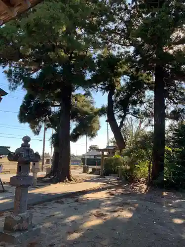 稲荷神社(千葉県)