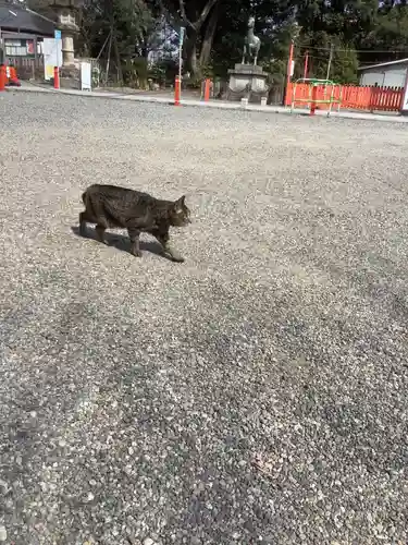 城山八幡宮(愛知県)