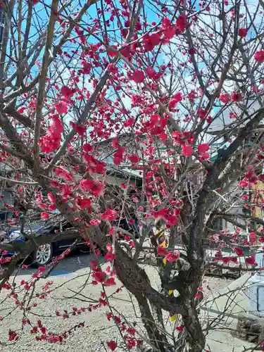 櫻岡大神宮の自然