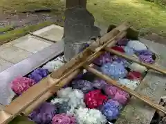 足羽神社の手水