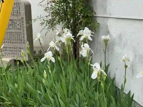 崇道天皇社の{uncategorized: "未分類", other: "その他", undefined: "問題あり", building: "その他建物", grave: "お墓", sacred_gate: "鳥居", guardian: "狛犬", statue: "像", buddha: "仏像", history: "歴史", nature: "自然", garden: "庭園", animal: "動物", pagoda: "塔", temizu: "手水舎", mountain_gate: "山門・神門", sanctuary: "本殿・本堂", subordinate: "末社・摂社", art: "芸術", scenery: "景色", jizo: "地蔵", ema: "絵馬", goshuin: "御朱印", omikuji: "おみくじ", items: "授与品その他", amulet: "お守り", goshuincho: "御朱印帳", eats: "食事", festival: "お祭り", votive_dance: "神楽", shichigosan: "七五三参", wedding: "結婚式", experience: "体験その他", initially: "初詣", around: "周辺", anti_infection: "感染症対策"}