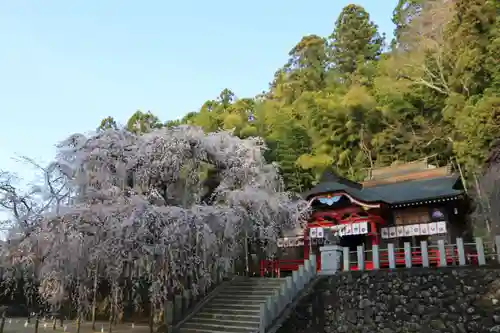 小川諏訪神社の本殿・本堂