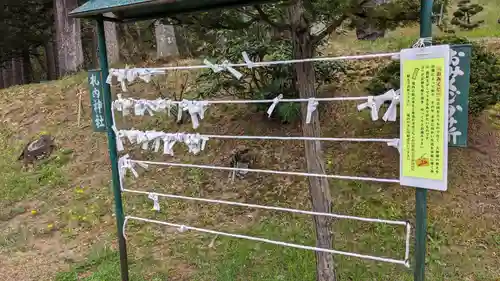 札内神社のおみくじ