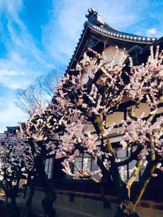 瑞円寺(東京都)