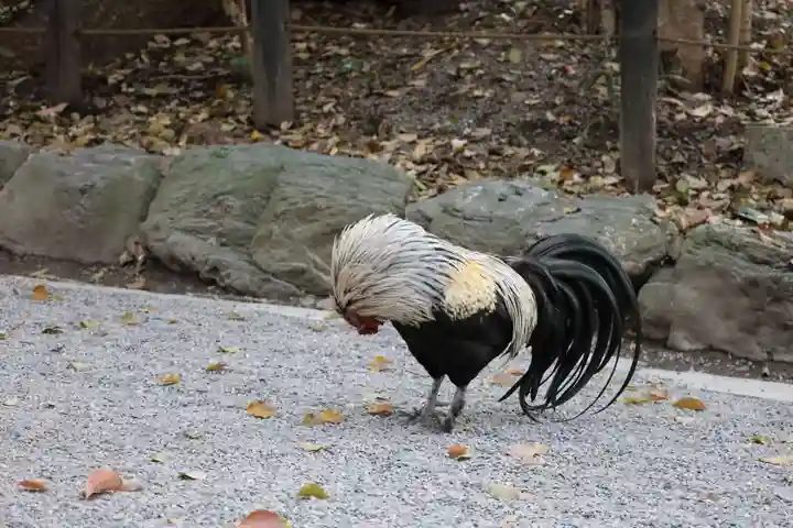 熱田神宮(愛知県)