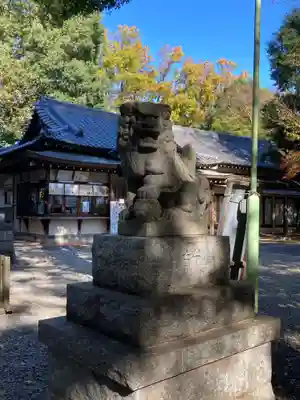 南沢氷川神社の狛犬