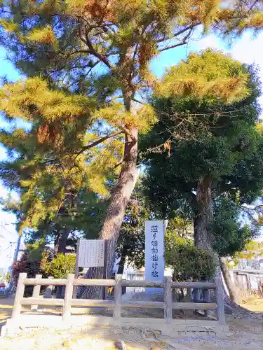 神明社（牛野通）の自然