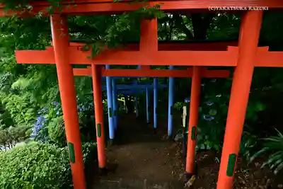 足利織姫神社の鳥居
