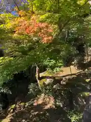 木舟山　順教寺の自然