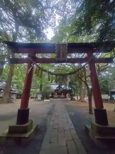 氷川女體神社(埼玉県)