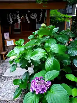 五十稲荷神社(栄寿稲荷神社)(東京都)