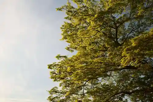 金峯山寺(奈良県)