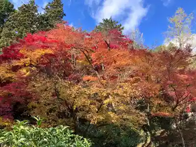 大国寺(兵庫県)