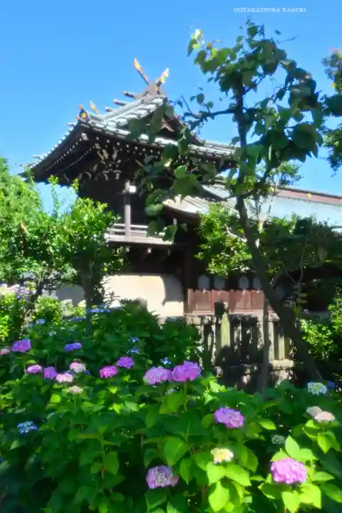 白山神社(東京都)