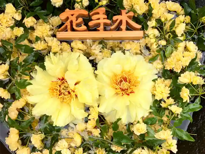 真言宗 善通寺派 薬王寺(香川県)