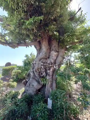 稲荷神社(埼玉県)
