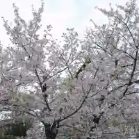 諏訪神社(東京都)