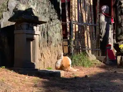 高徳寺(千葉県)