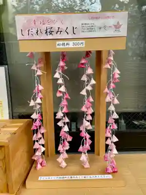桜神宮(東京都)