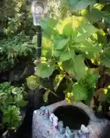 宗龍寺の手水舎